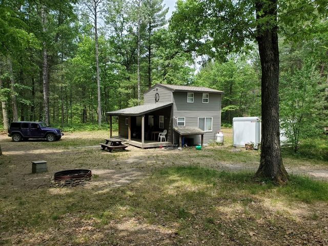 5242 S Forest Drive, Baldwin, MI 49304