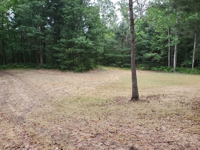 5242 S Forest Drive, Baldwin, MI 49304