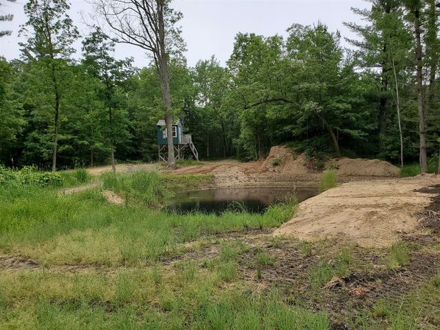 5242 S Forest Drive, Baldwin, MI 49304