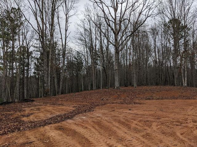 12 Daisy Drive, Brasstown, NC 28902