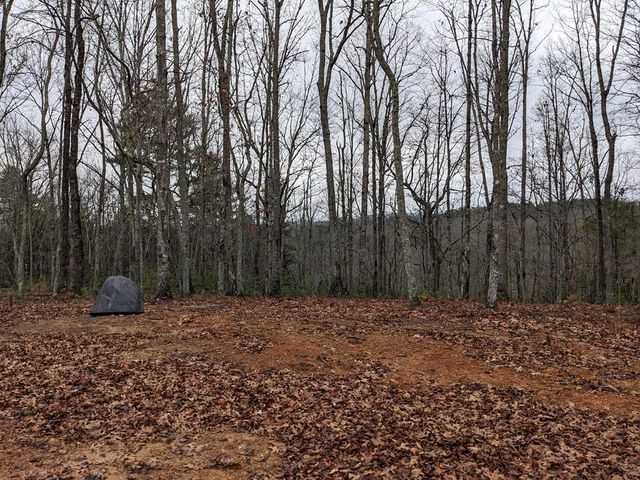 12 Daisy Drive, Brasstown, NC 28902