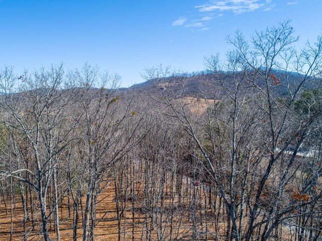 12 Daisy Drive, Brasstown, NC 28902
