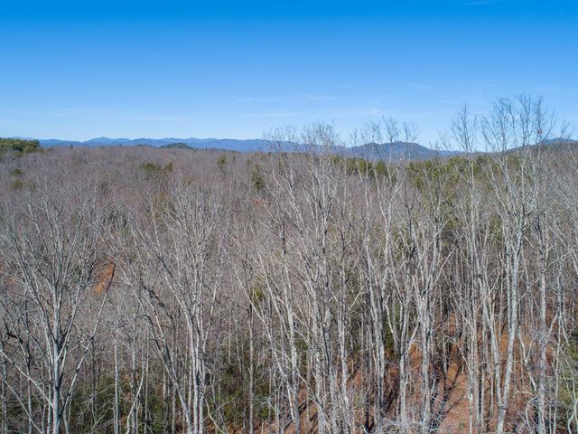 12 Daisy Drive, Brasstown, NC 28902