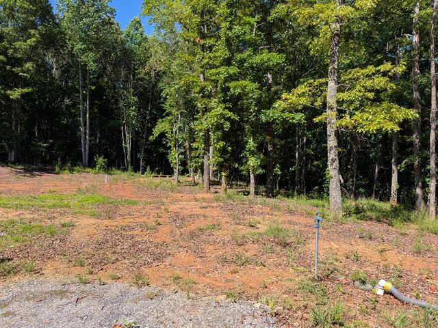 12 Daisy Drive, Brasstown, NC 28902