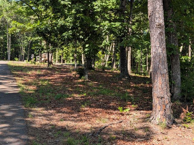 12 Daisy Drive, Brasstown, NC 28902