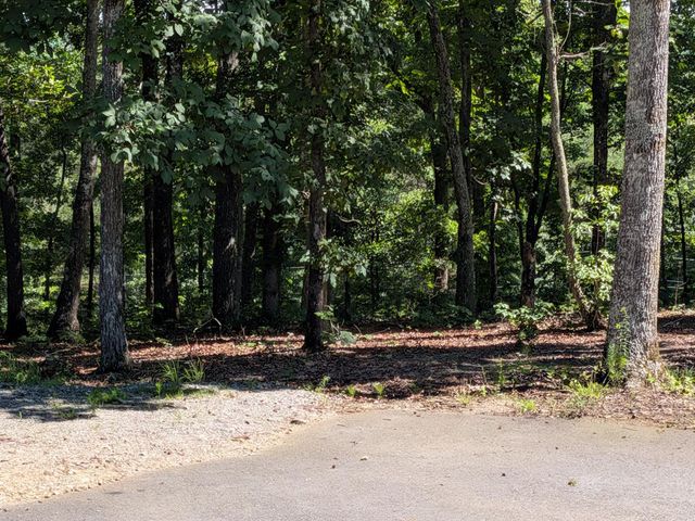 12 Daisy Drive, Brasstown, NC 28902