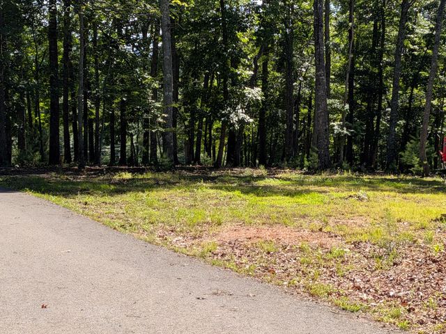 12 Daisy Drive, Brasstown, NC 28902