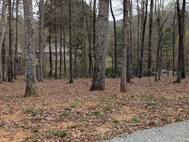12 Daisy Drive, Brasstown, NC 28902
