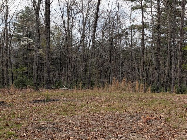 12 Daisy Drive, Brasstown, NC 28902
