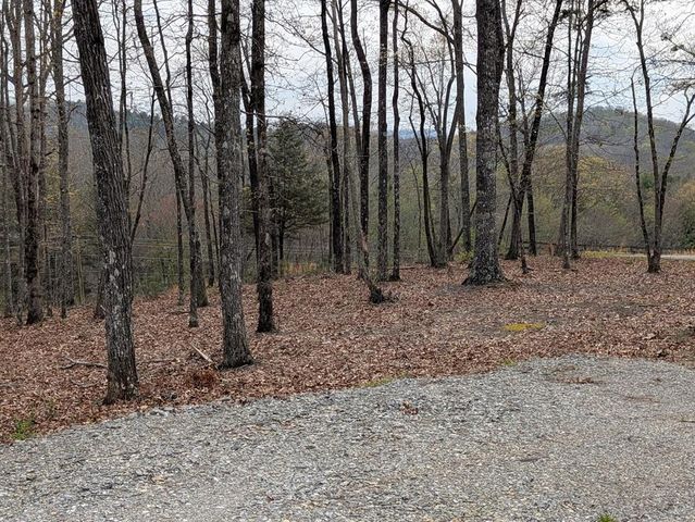 12 Daisy Drive, Brasstown, NC 28902