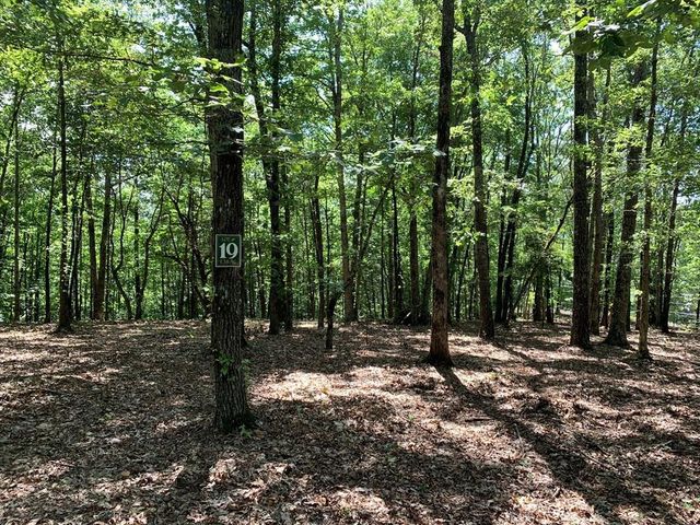 12 Daisy Drive, Brasstown, NC 28902