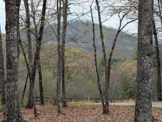 12 Daisy Drive, Brasstown, NC 28902