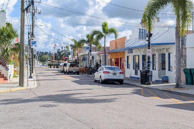 1472 BAY VIEW STREET, Tarpon Springs, FL 34689
