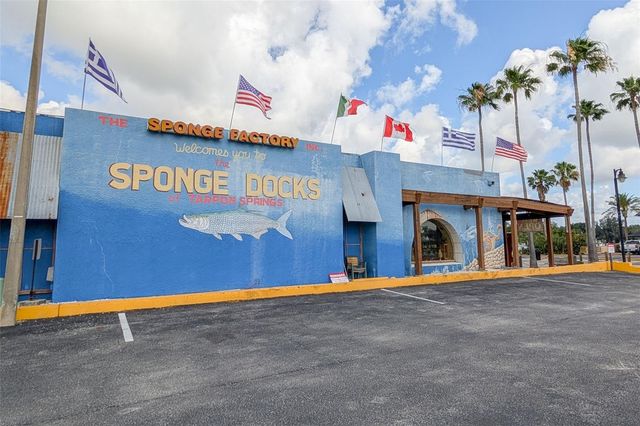 1472 BAY VIEW STREET, Tarpon Springs, FL 34689