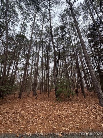 1790 Irish Boulevard, Sanford, NC 27332