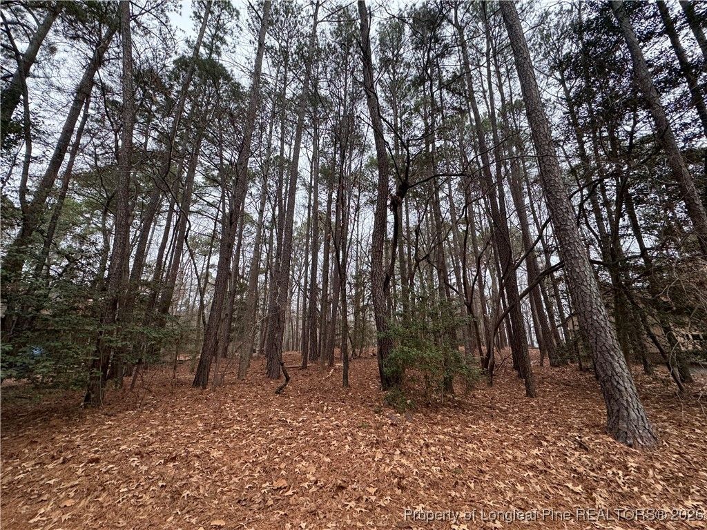 1790 Irish Boulevard, Sanford, NC 27332 — photo 2