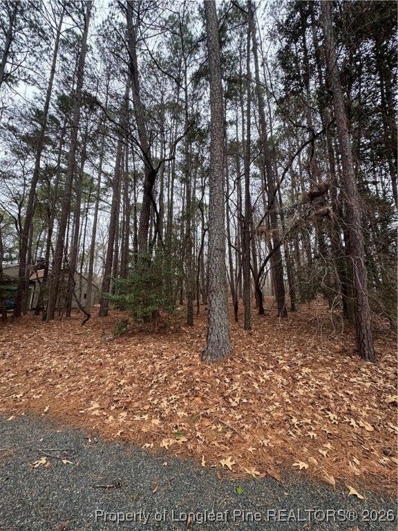 1790 Irish Boulevard, Sanford, NC 27332 — photo 5