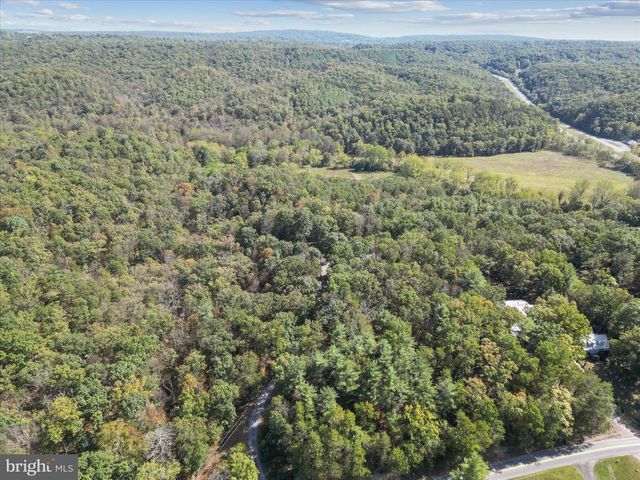 220 CHESTNUT GROVE RD, Winchester, VA 22603