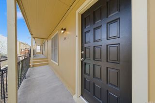 911 Vance Jackson Rd Apt 204, San Antonio, TX 78201