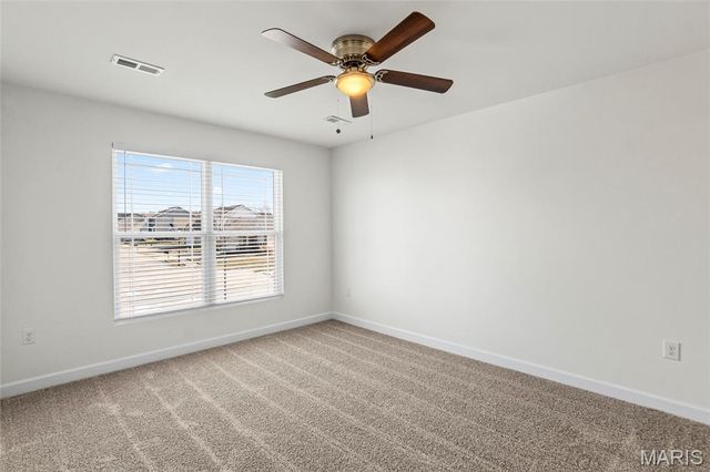 1404 Orchard Lakes Circle, Belleville, IL 62220