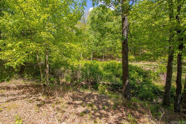 13801 St Michael Drive, Little Rock, AR 72211