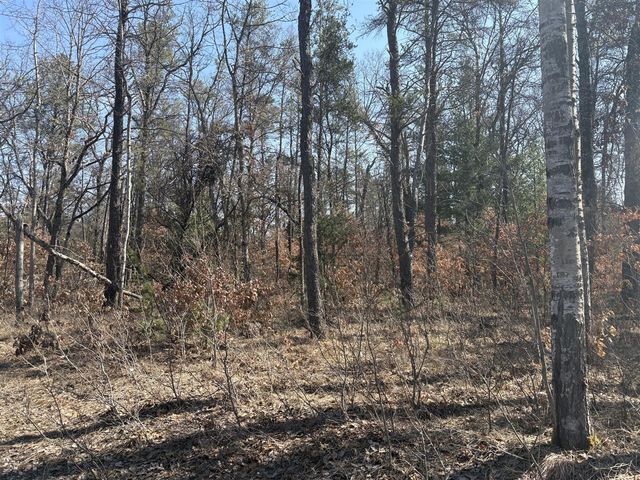 5222 S Broadway Road, Idlewild, MI 49642