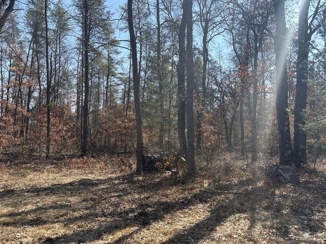 5222 S Broadway Road, Idlewild, MI 49642
