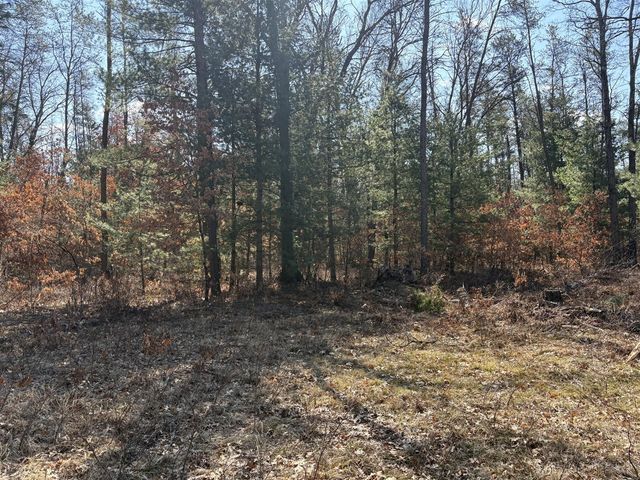 5222 S Broadway Road, Idlewild, MI 49642