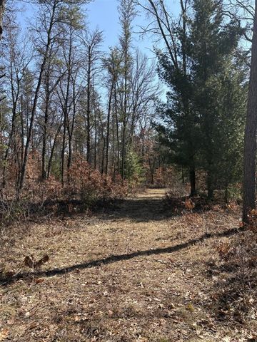 5222 S Broadway Road, Idlewild, MI 49642