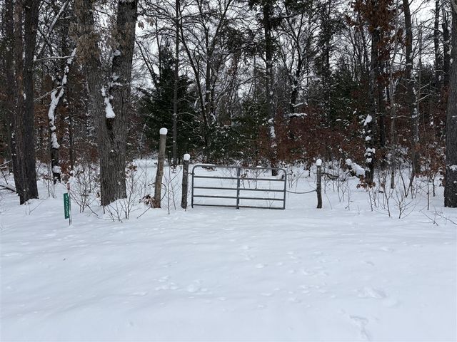 5222 S Broadway Road, Idlewild, MI 49642