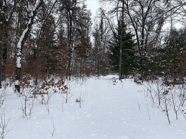 5222 S Broadway Road, Idlewild, MI 49642