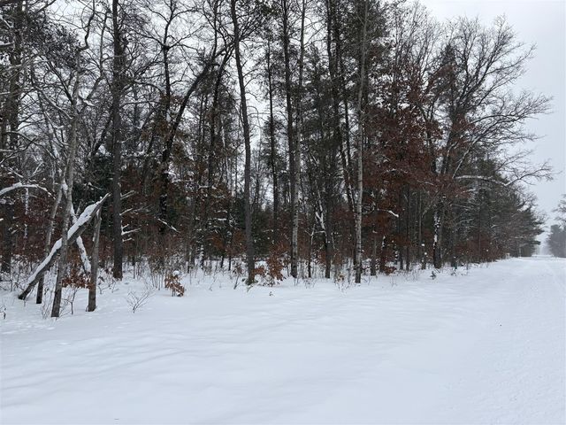5222 S Broadway Road, Idlewild, MI 49642