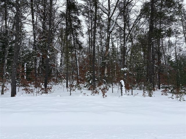 5222 S Broadway Road, Idlewild, MI 49642