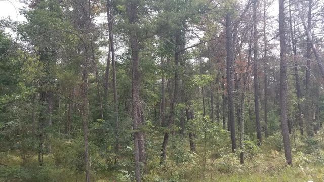 5222 S Broadway Road, Idlewild, MI 49642