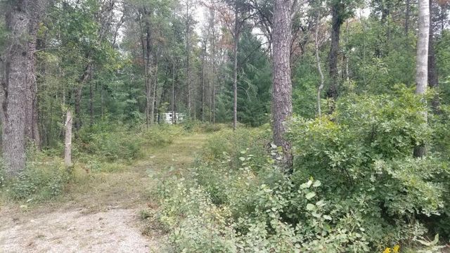 5222 S Broadway Road, Idlewild, MI 49642