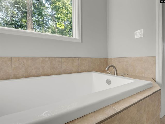 617 Newberry Drive, Chapin, SC 29036