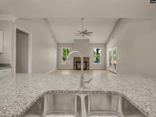 617 Newberry Drive, Chapin, SC 29036