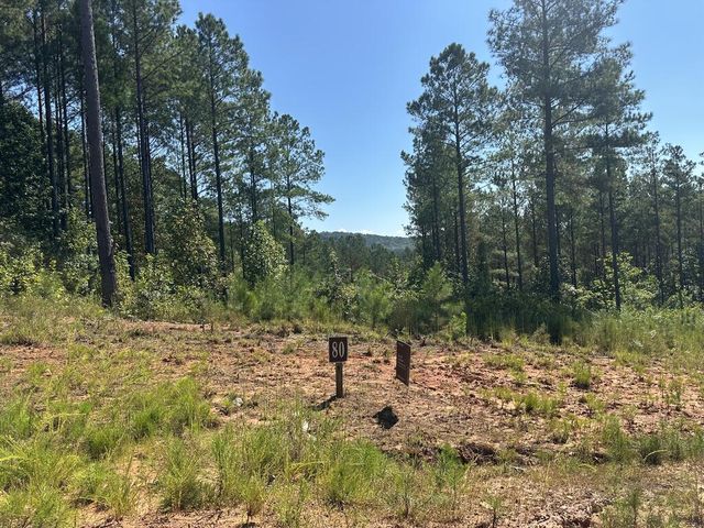 Lot 80 Seven Mile Creek Road, Talking Rock, GA 30175