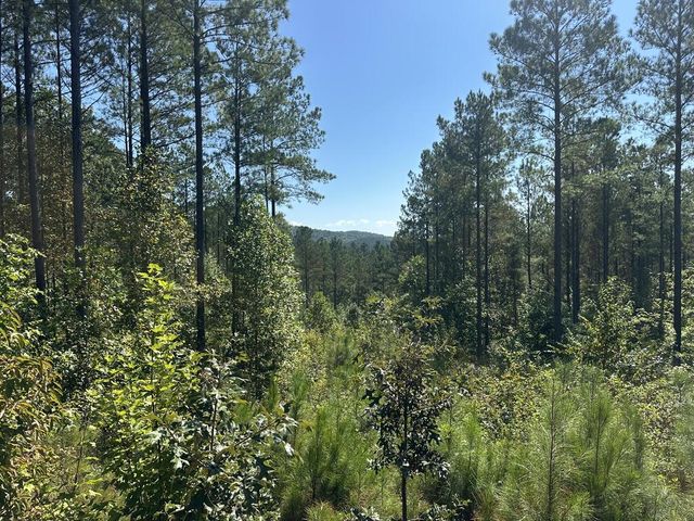 Lot 80 Seven Mile Creek Road, Talking Rock, GA 30175