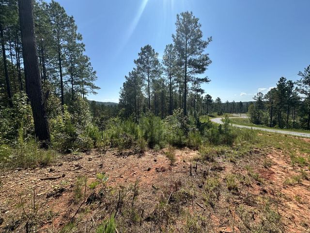 Lot 80 Seven Mile Creek Road, Talking Rock, GA 30175