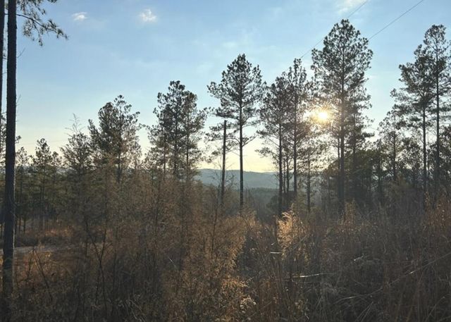 Lot 80 Seven Mile Creek Road, Talking Rock, GA 30175