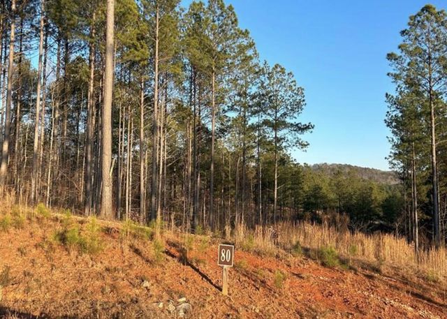 Lot 80 Seven Mile Creek Road, Talking Rock, GA 30175