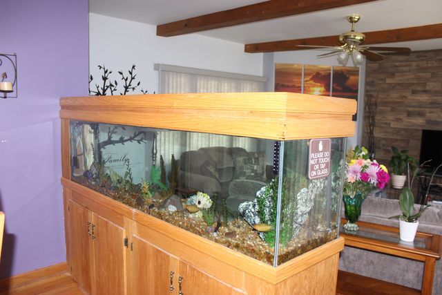 13528 LAVERGNE Avenue, Crestwood, IL 60418