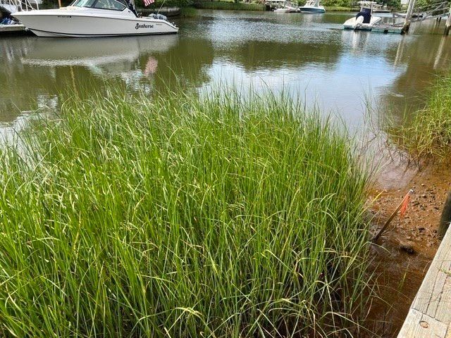 24 Spoondrift Way, Mashpee, MA 02649