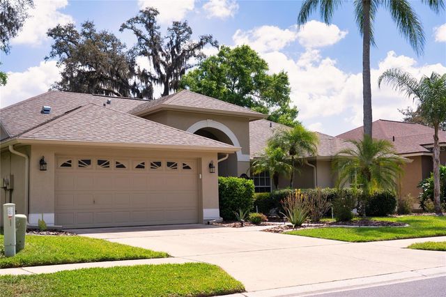 8435 BASUTO DRIVE, Trinity, FL 34655