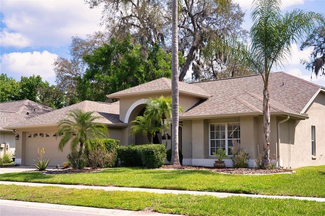 8435 BASUTO DRIVE, Trinity, FL 34655