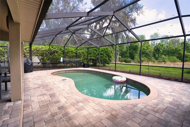 8435 BASUTO DRIVE, Trinity, FL 34655