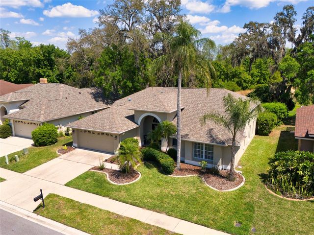 8435 BASUTO DRIVE, Trinity, FL 34655