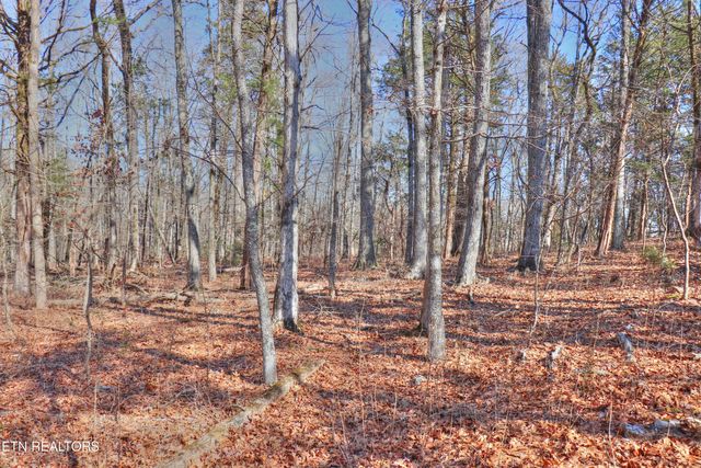 Lot 151 E Shore Drive, Rockwood, TN 37854