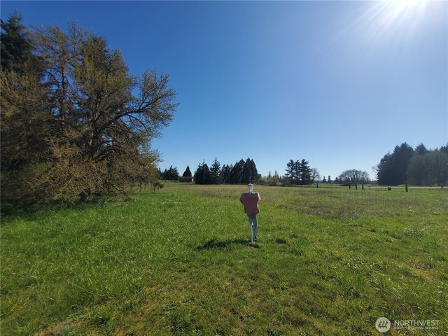 4924 165th Lane SW, Rochester, WA 98579